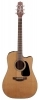 Takamine P1DC Takamine P1DC